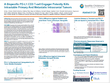 CD3 model for potent and specific pre-clinical antitumor activity